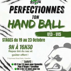 Inscription stages U13 / U15 automne 2026
